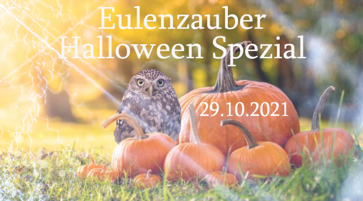 Halloween-Spezial-Eulenzauber